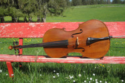 Violoncelle